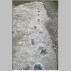 102_6698 (2013-08-11)mod.JPG